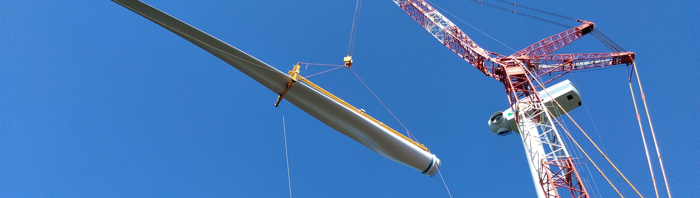 NICHIUN Crane